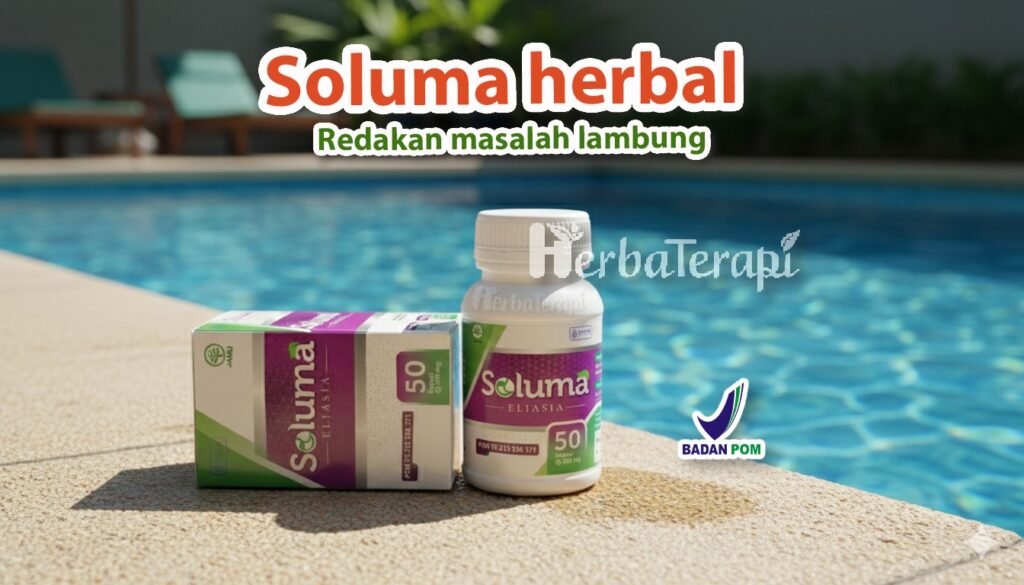 soluma lambung bocor