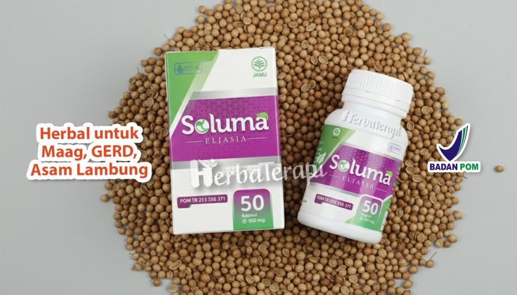 soluma organ lambung bermasalah