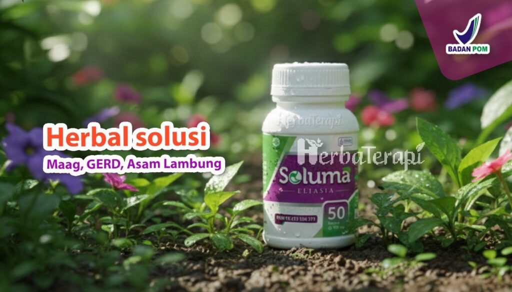 soluma pencegahan radang lambung