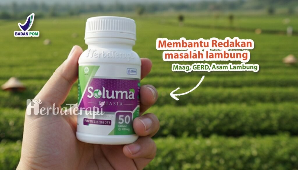 soluma tidur setelah makan