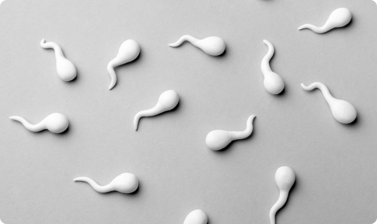 vertomen penyebab sperma mati