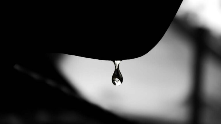 vertomen berapa lama sperma diproduksi