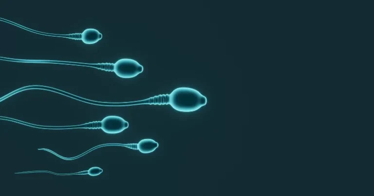 vertomen jumlah sperma