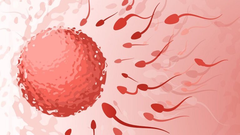 vertomen kesuburan pria menurun