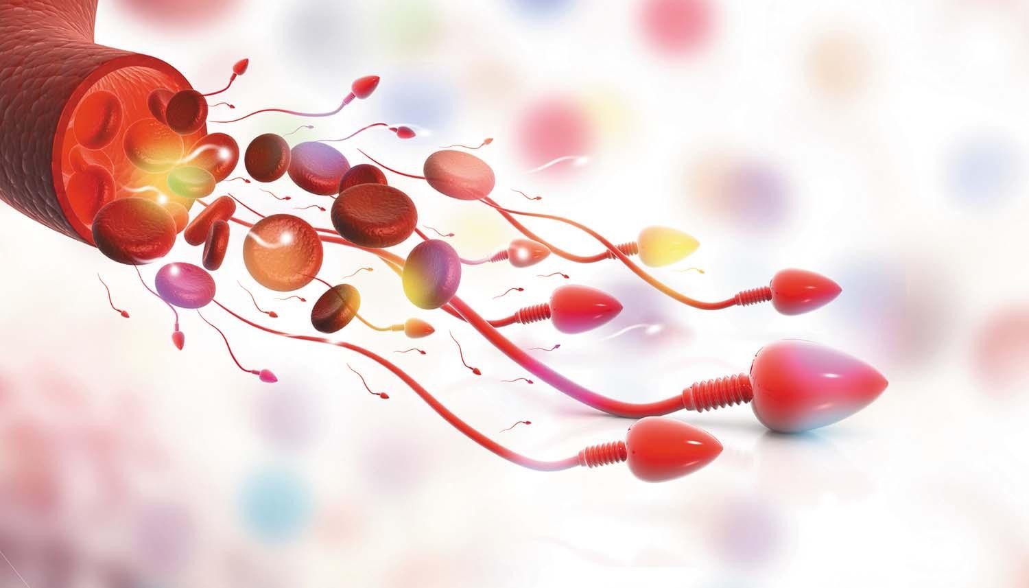 sperma berdarah vertomen