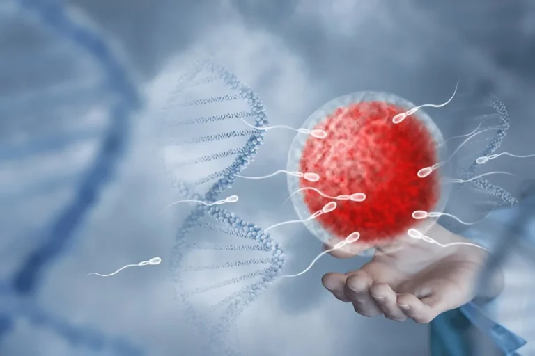 vertomen sperma sehat tanpa rokok