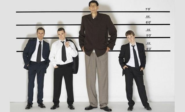 vertomen tinggi badan