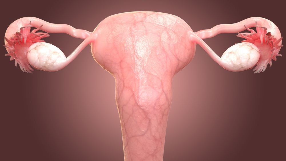 6 Tanda Wanita Tidak Subur