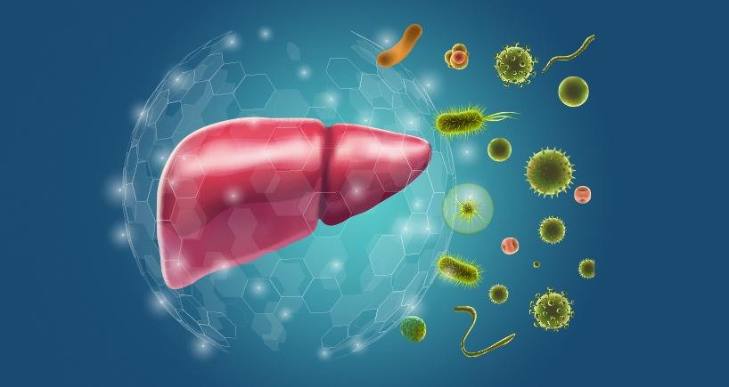 Apa Itu Hepatitis Autoimun Saat Imun Tubuh Menyerang Hati