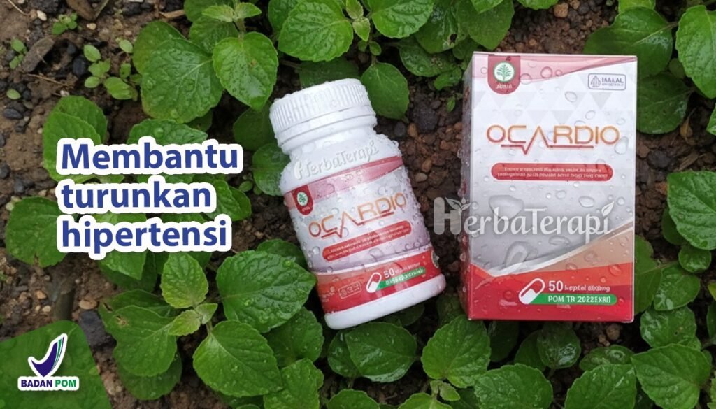 ocardio Bagaimana Hipertensi Merusak Otot Jantung Anda