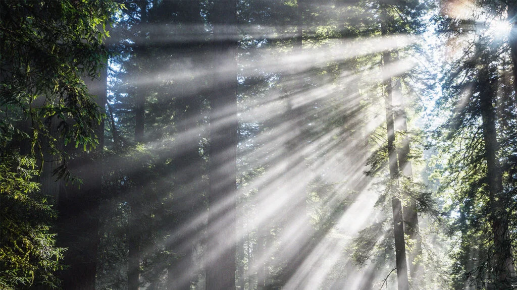 Bahaya Sinar UV bagi Mata Alasan Anda Harus Memakai Kacamata Hitam