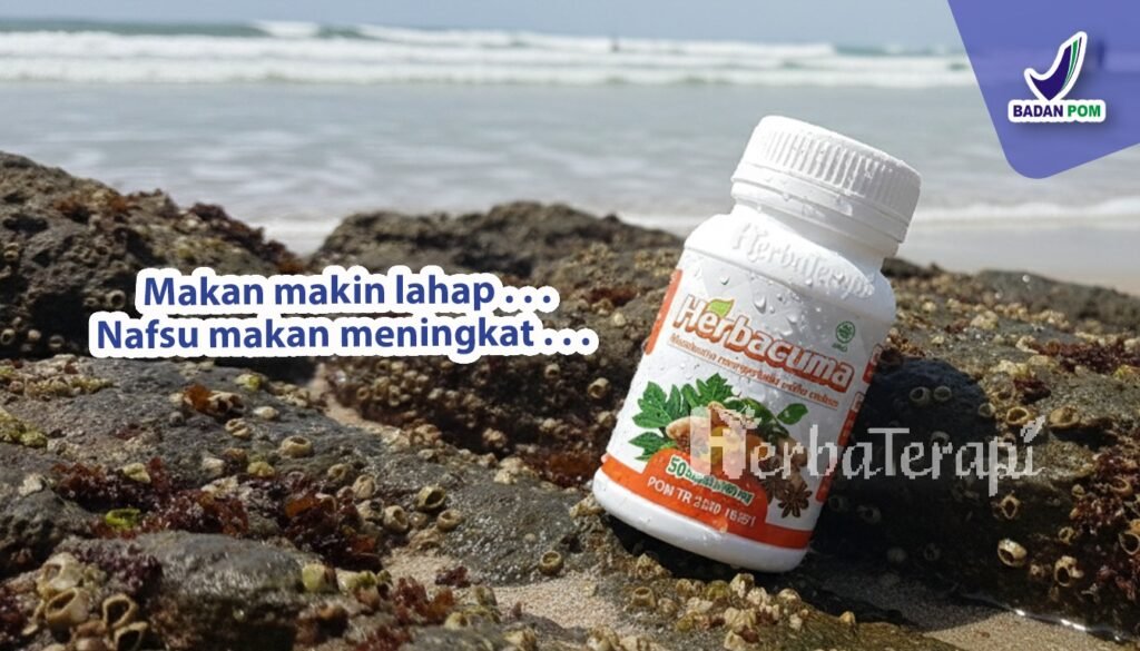 herbacuma Cara Cepat Gemuk Sehat dengan Herbacuma