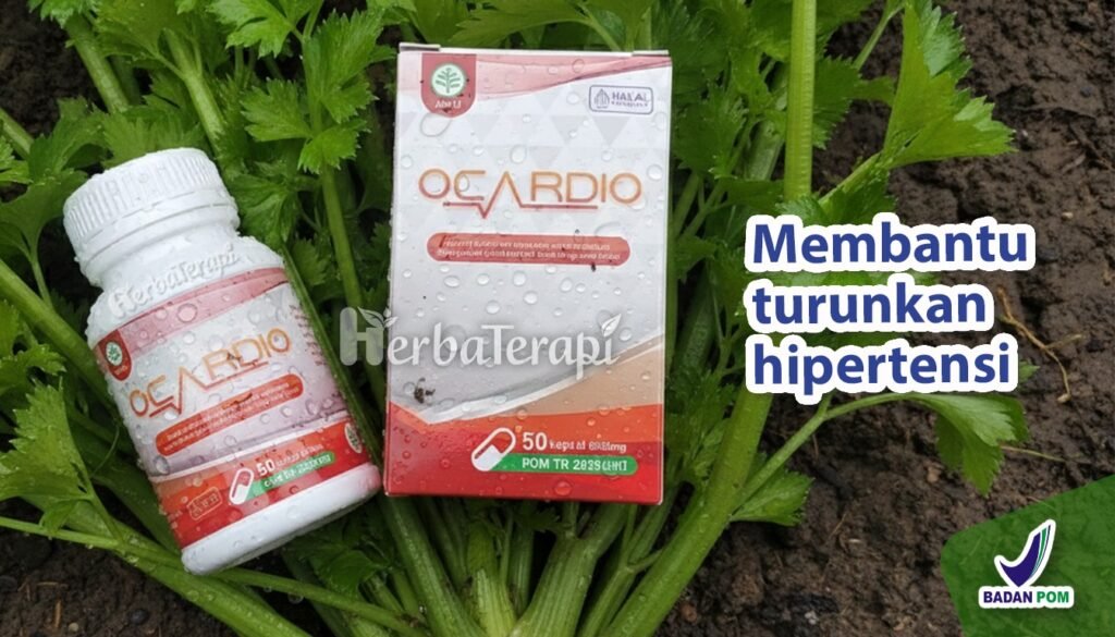 Dampak Hipertensi Terhadap Penebalan Otot Jantung ocardio