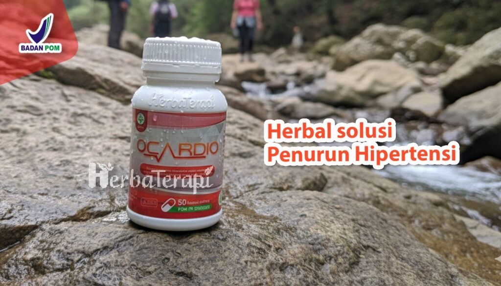 ocardio Ginjal Kronis Faktor Biologis Utama Hipertensi Sekunder