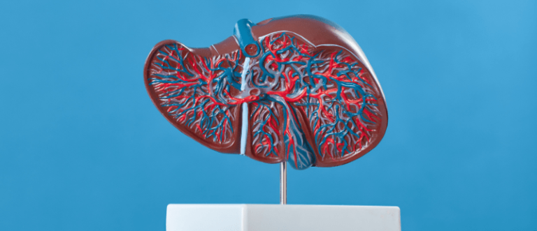 Liver Kotor: Faktanya, Gejala, dan Cara Detoksifikasi Secara Alami