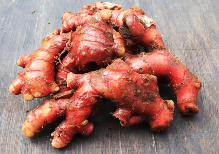 Manfaat Jahe Merah untuk Memperbaiki Pencernaan dan Nafsu Makan