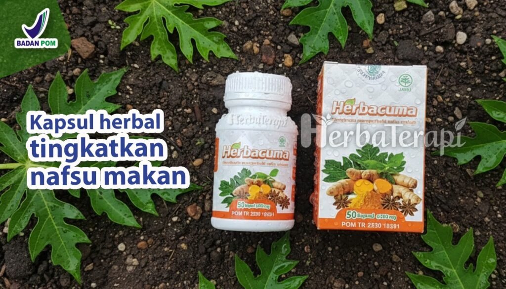 Obat Penggemuk Herbal yang Aman untuk Kesehatan Tubuh herbacuma