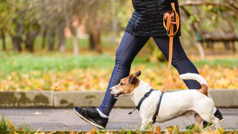 Solusi Sederhana Lawan Hipertensi Akibat Kurang Gerak