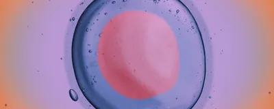 Suplemen Penyubur Kandungan Rahasia Sel Telur Berkualitas