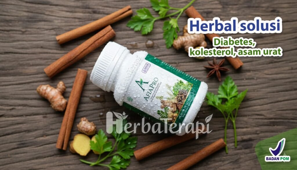 afiapro cara efektif mengelola kolesterol