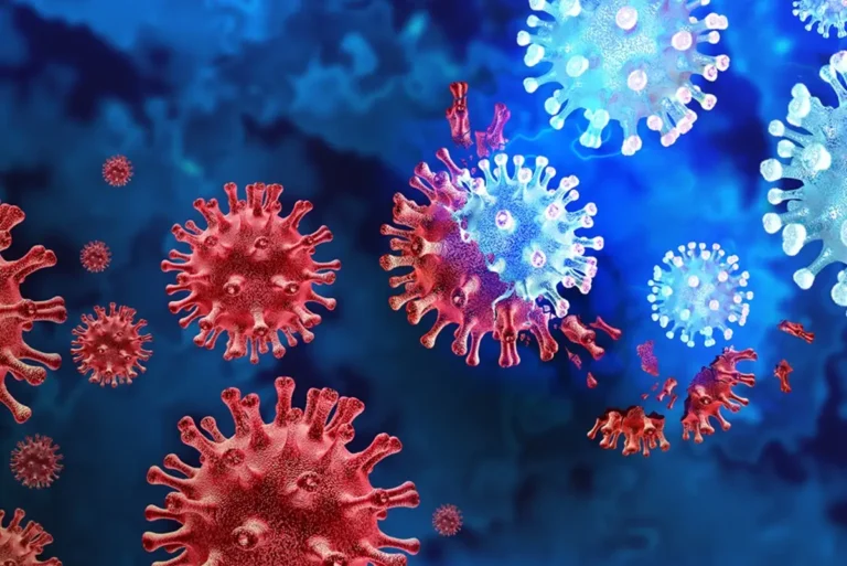 afiapro peran vital sistem imun