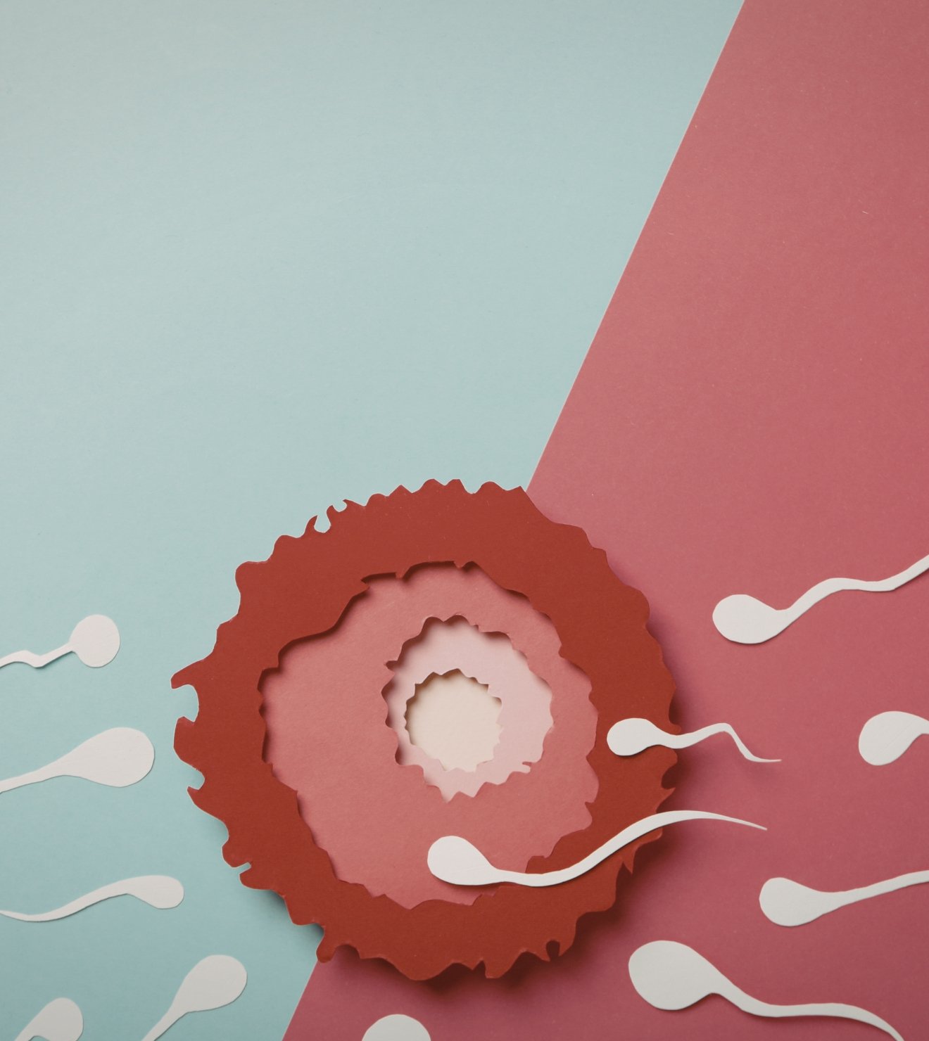 cara meningkatkan volume sperma