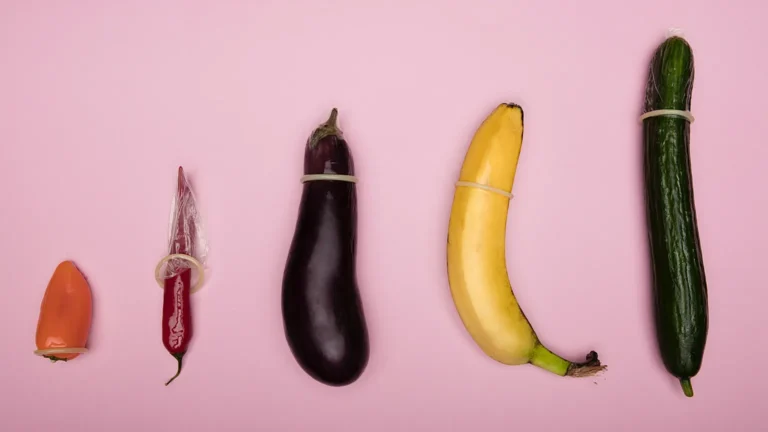 fortamen fakta bentuk penis