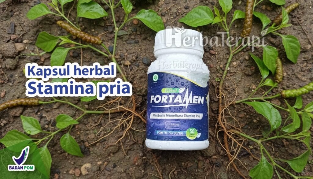 fortamen Saat Pria Mengalami Ereksi