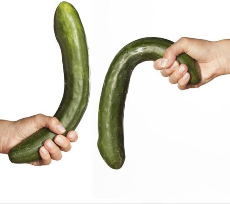 fortamen agar ereksi tahan lama