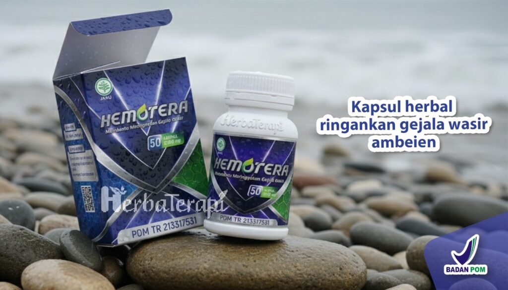 hemotera benjolan wasir
