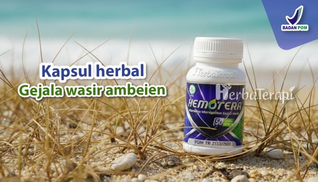 hemotera benjolan di anus