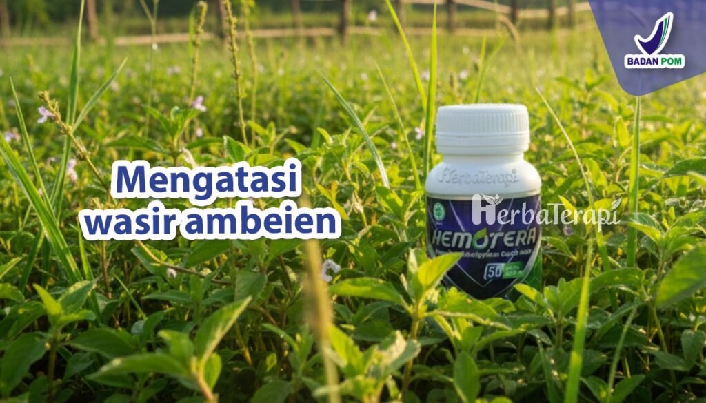 hemotera cara menghilangkan benjolan ambeien