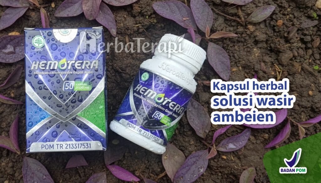 hemotera Dampak Jangka Panjang Wasir