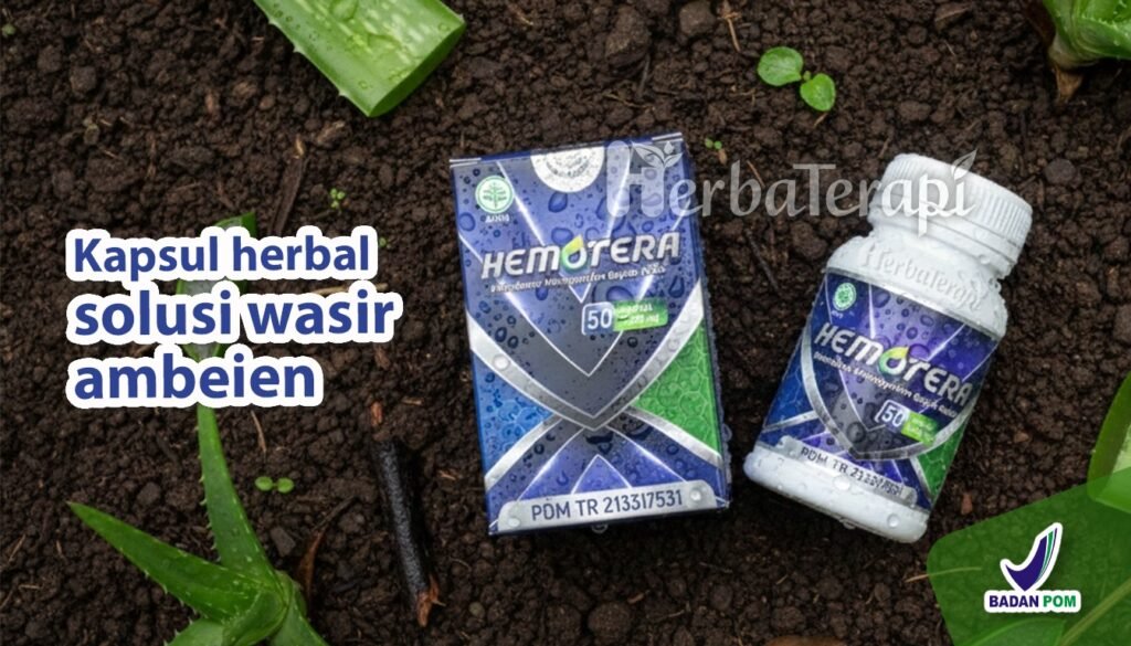 hemotera dampak wasir stadium 4