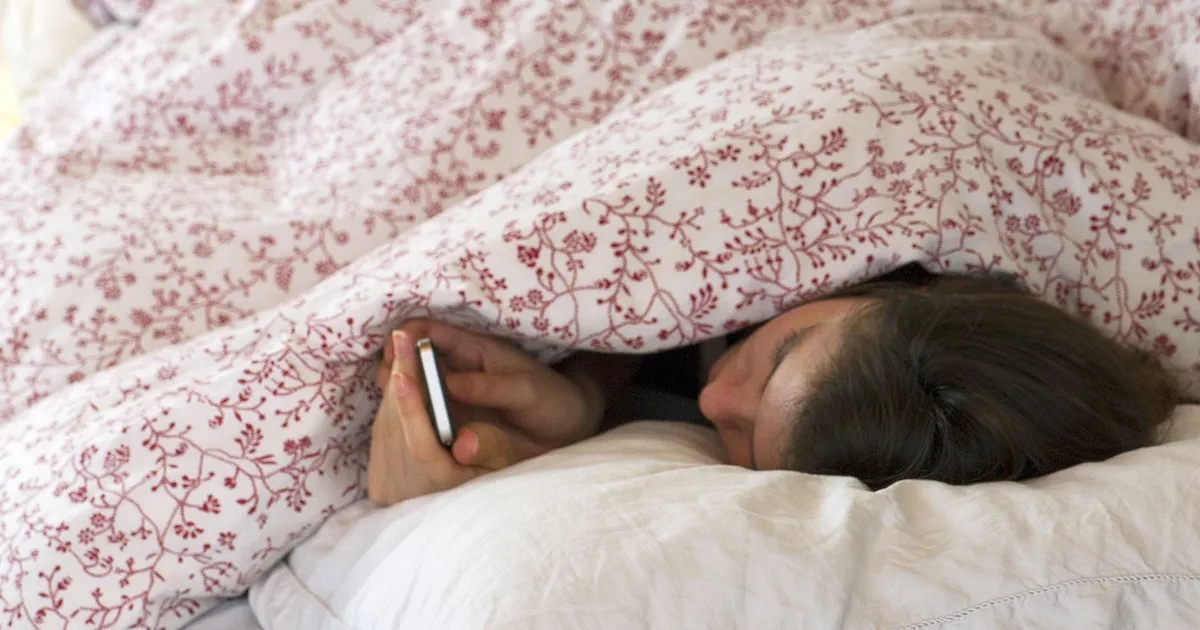 hemotera hobi rebahan seharian