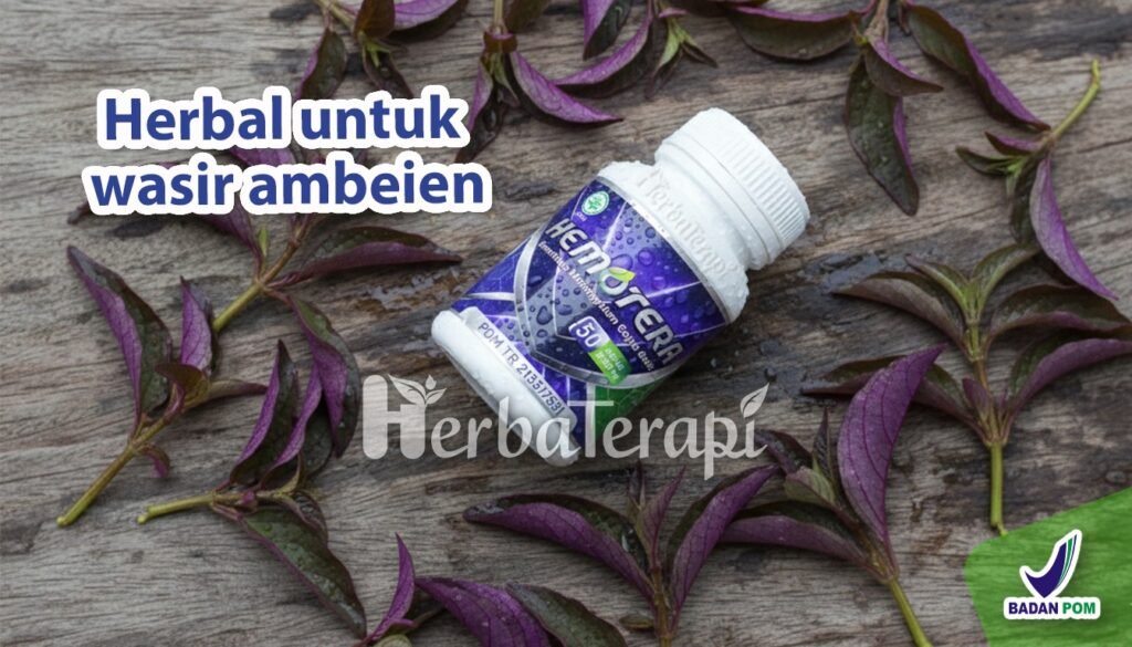 hemotera seks anal menyebabkan wasir