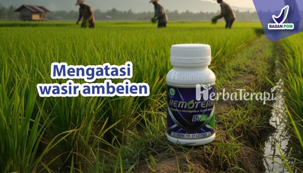 hemotera operasi wasir