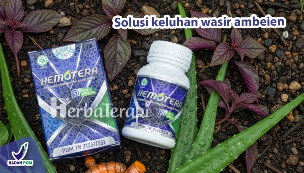 hemotera diet serat