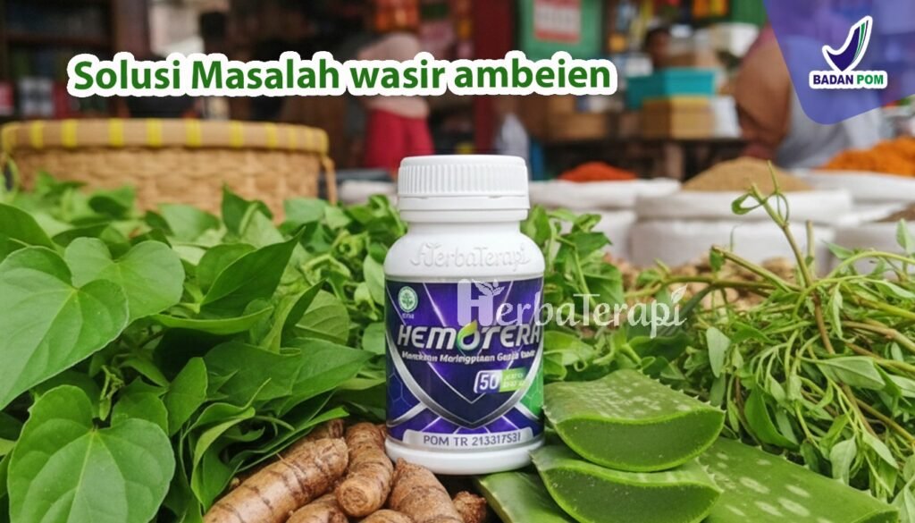 hemotera penyebab benjolan wasir membesar