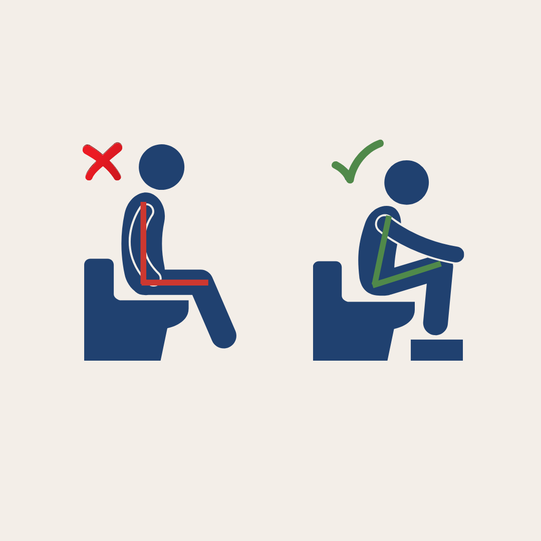 hemotera posisi buang air besar