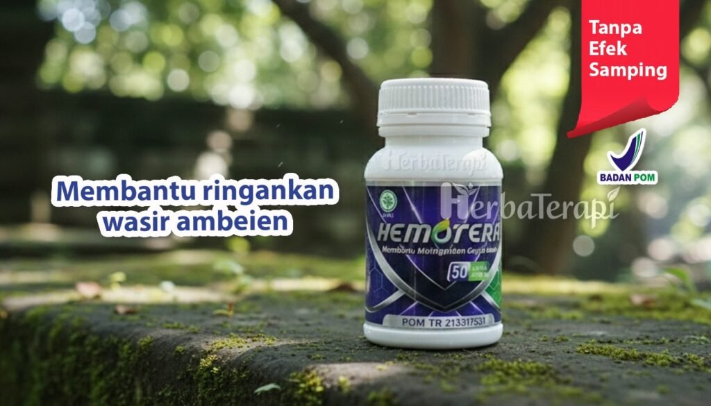 hemotera wasir berdarah stadium lanjut