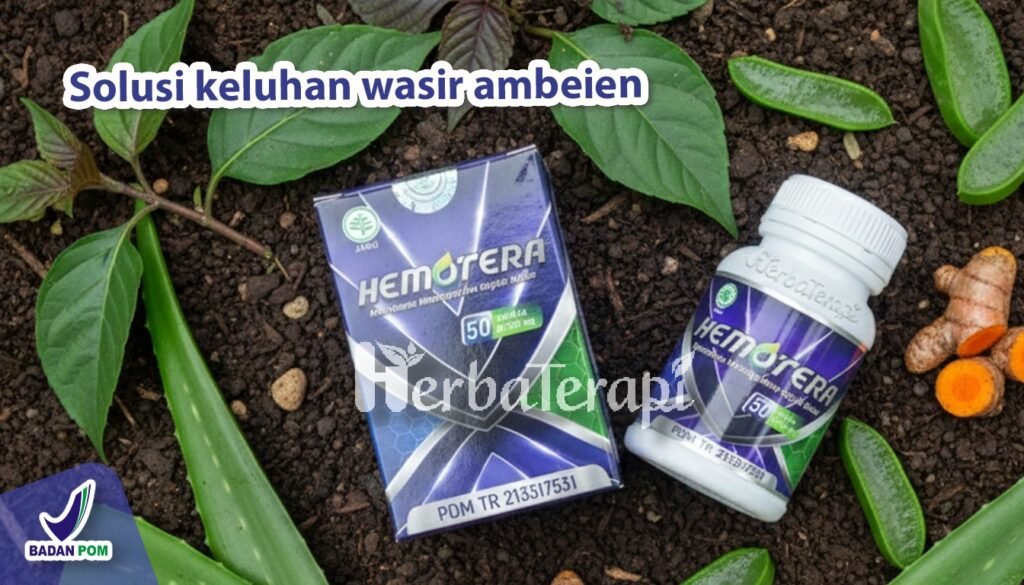 hemotera infeksi bakteri akibat wasir