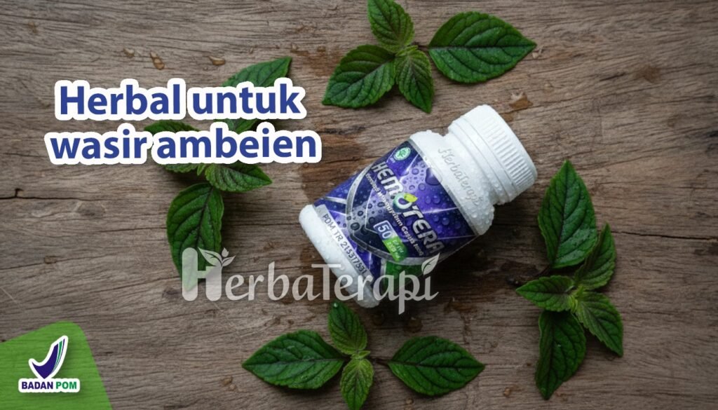 hemotera wasir luar berdarah