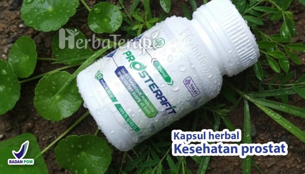 prosterafit meredakan peradangan prostat