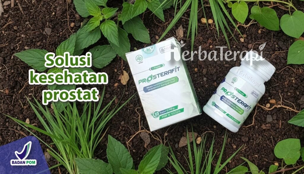 prosterafit cara mencegah kerusakan prostat