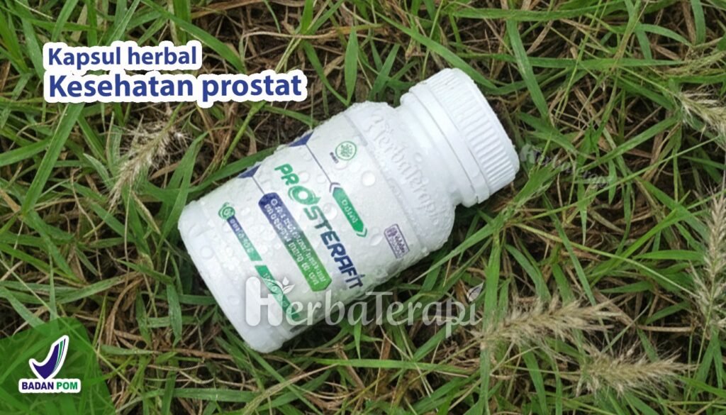 prosterafit manfaat bawang putih