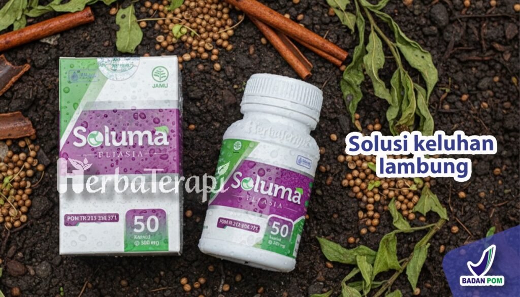 soluma mengatasi radang lambung ringan