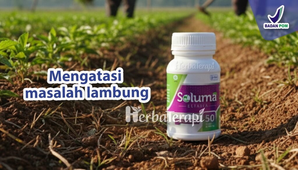 soluma gejala kerusakan dinding lambung
