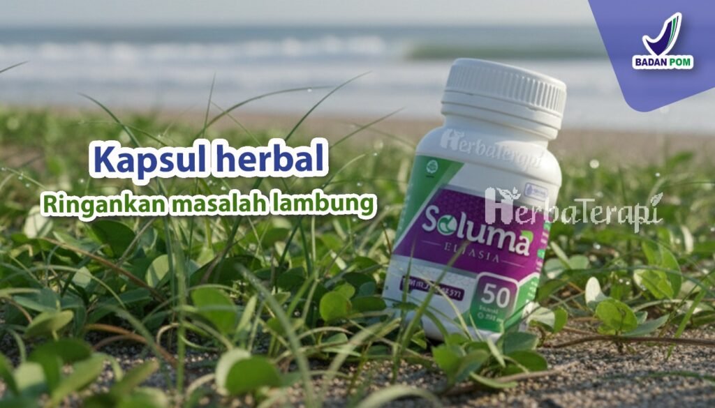 soluma gerd dan gastritis