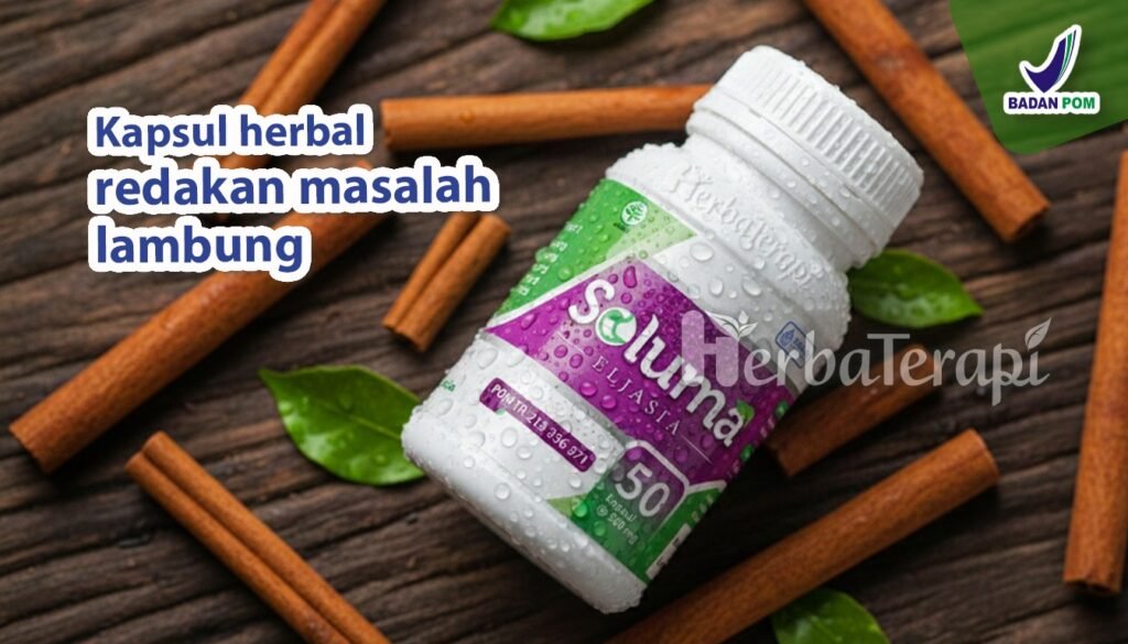 soluma sakit lambung